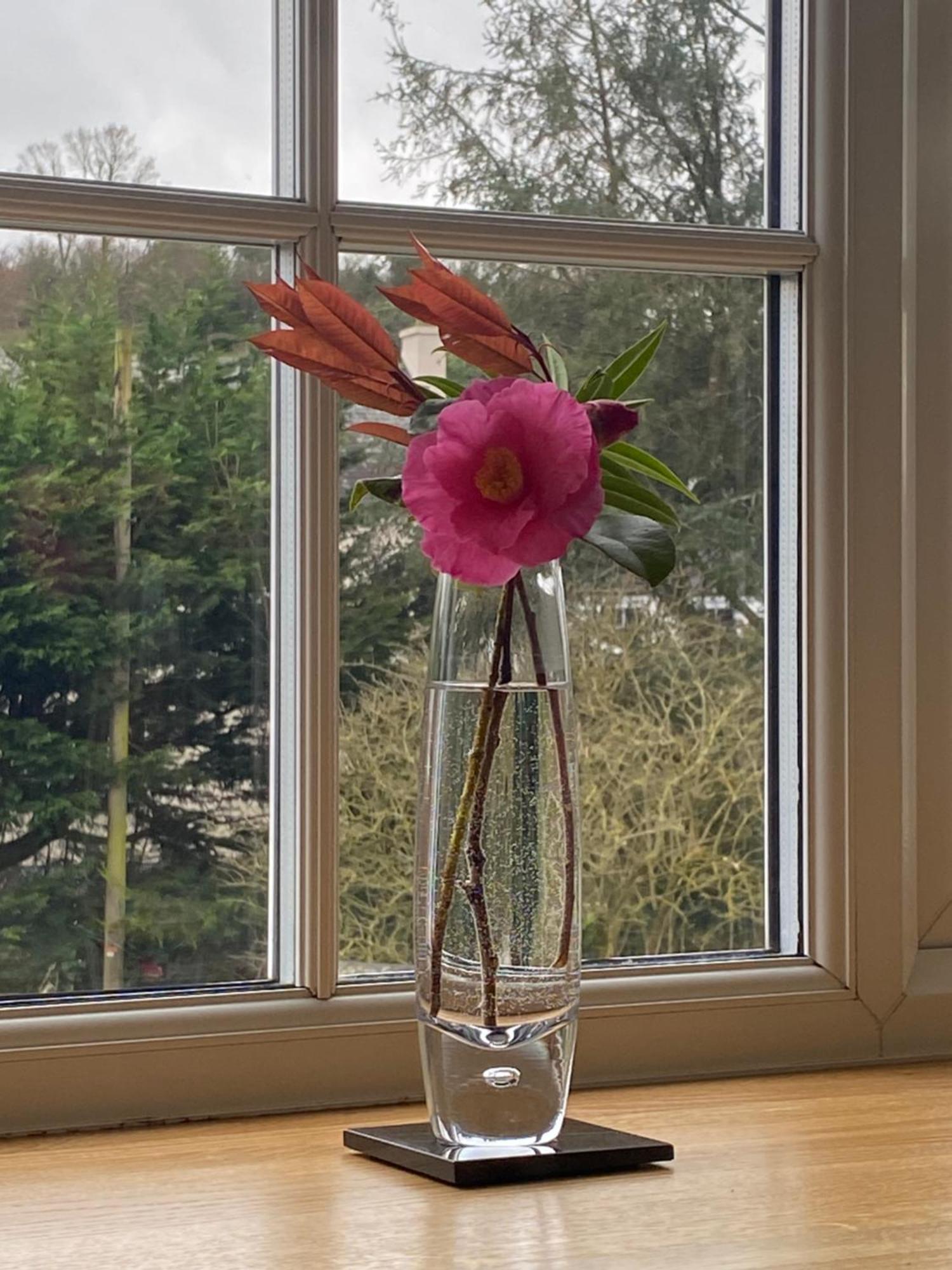 Lynwood House Bed And Breakfast Tregoney Dış mekan fotoğraf