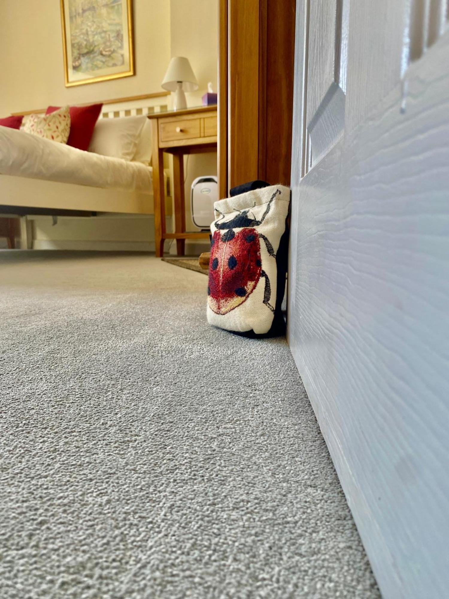 Lynwood House Bed And Breakfast Tregoney Dış mekan fotoğraf